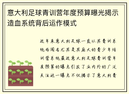 意大利足球青训营年度预算曝光揭示造血系统背后运作模式