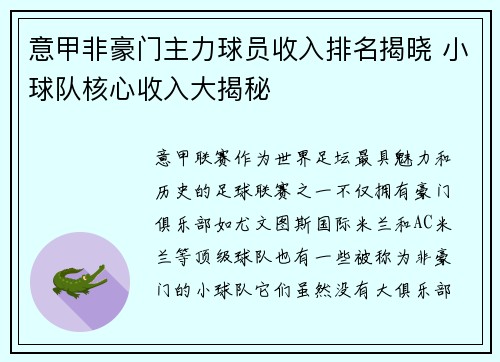 意甲非豪门主力球员收入排名揭晓 小球队核心收入大揭秘