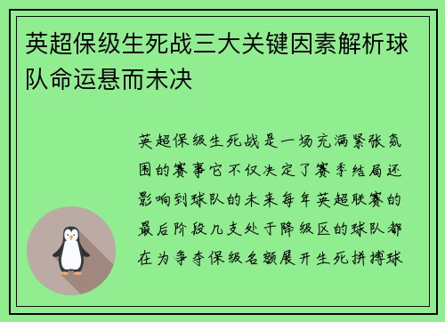 英超保级生死战三大关键因素解析球队命运悬而未决